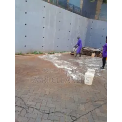 Best Cabro Washing Service